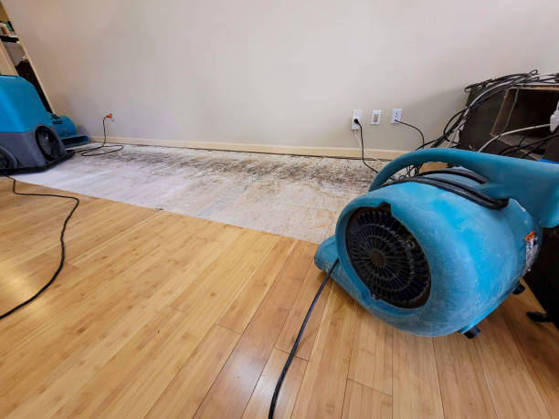 Professional Water Extraction technician working in Mill Valley, CA